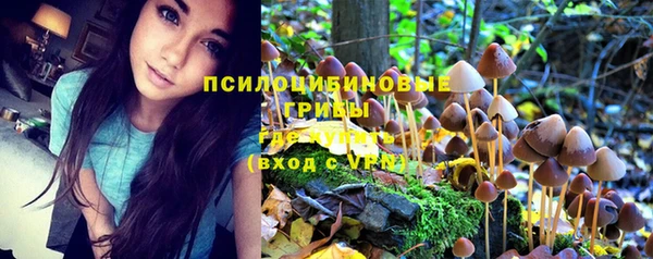 круглые Сосновка