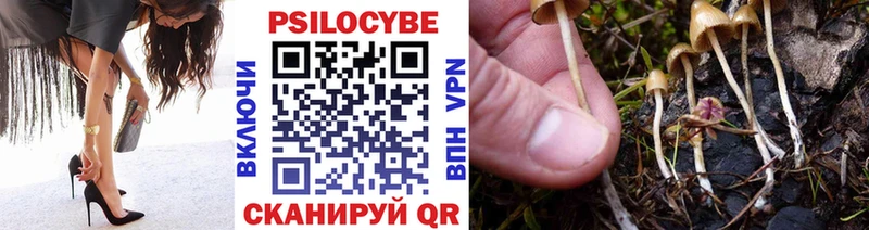 дарнет шоп  Староминская  Галлюциногенные грибы Psilocybe 